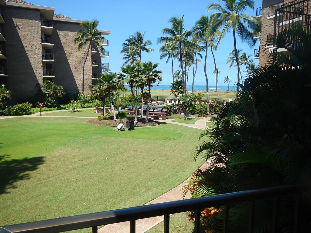 Kauhale Makai Condo On The Beach Kīhei Exterior foto